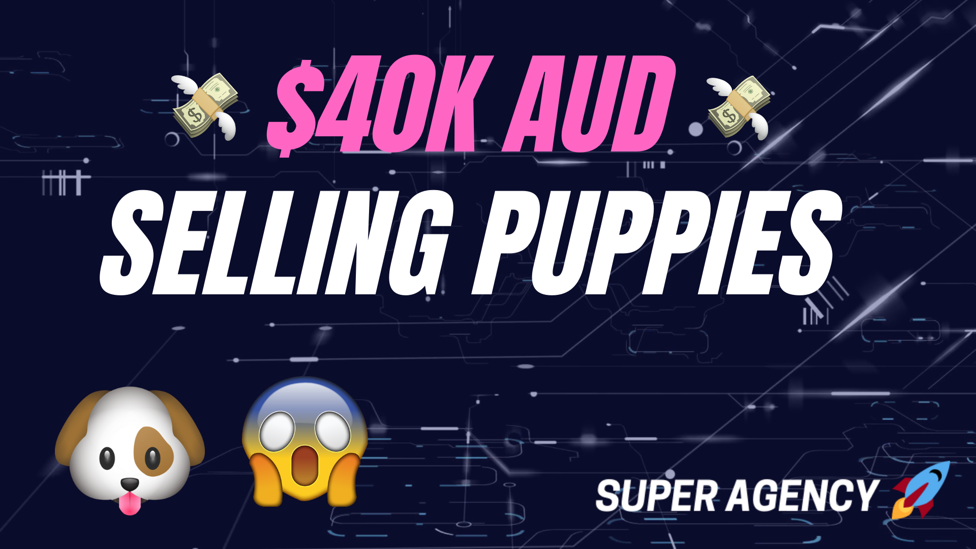 $40k AUD in 4 Weeks Selling Puppies with SuperAgency!!!! 🐶🚀